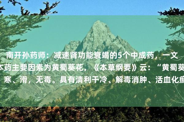 南开孙药师：减速肾功能衰竭的5个中成药，一文回想：1、黄葵胶囊：本药主要因素为黄蜀葵花，《本草纲要》云：“黄蜀葵花味甘、寒、滑，无毒。具有清利干冷、解毒消肿、活血化瘀，活络之功效，是改善肾脏功能...
