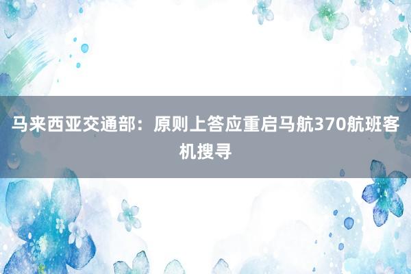 马来西亚交通部：原则上答应重启马航370航班客机搜寻